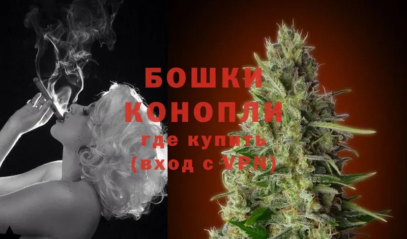 закладки  Катав-Ивановск  Канабис White Widow 